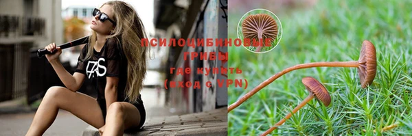 трава Лабытнанги